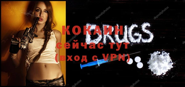 гидра Верея
