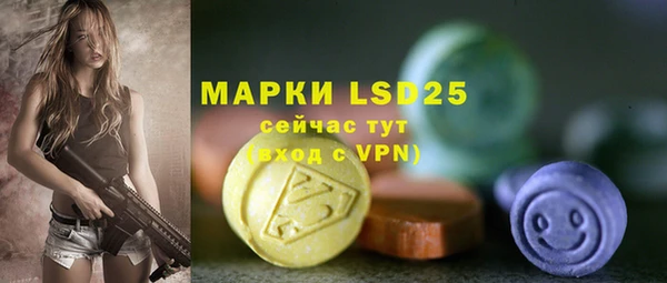 гидра Верея