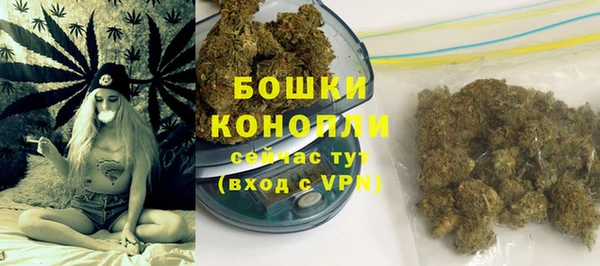 гидра Верея
