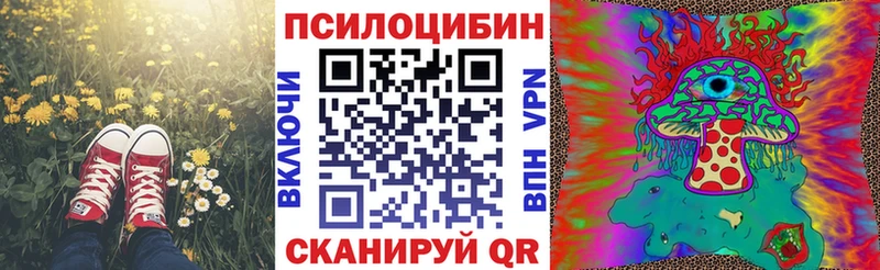 Псилоцибиновые грибы ЛСД Купить где Дальнереченск